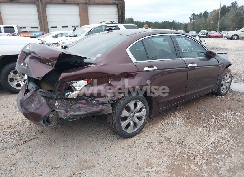 Photo 4 of 2010 Honda Accord 3.5 EX-L (VIN 5KBCP3F8XAB013334)