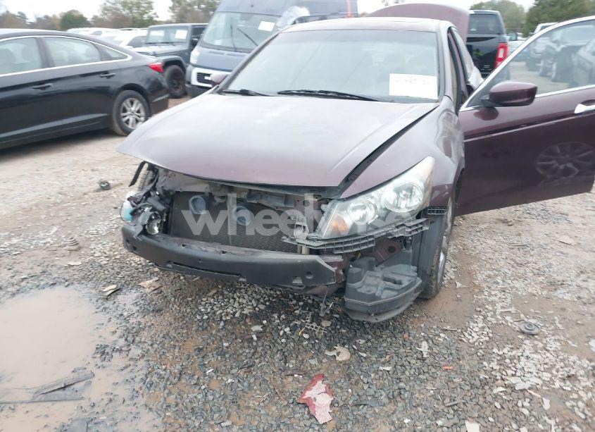 Photo 6 of 2010 Honda Accord 3.5 EX-L (VIN 5KBCP3F8XAB013334)