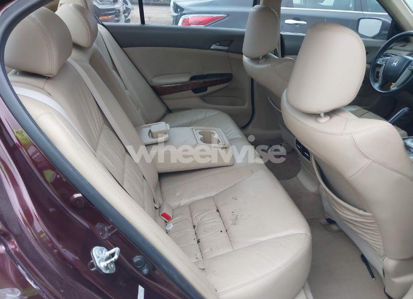 Photo 8 of 2010 Honda Accord 3.5 EX-L (VIN 5KBCP3F8XAB013334)