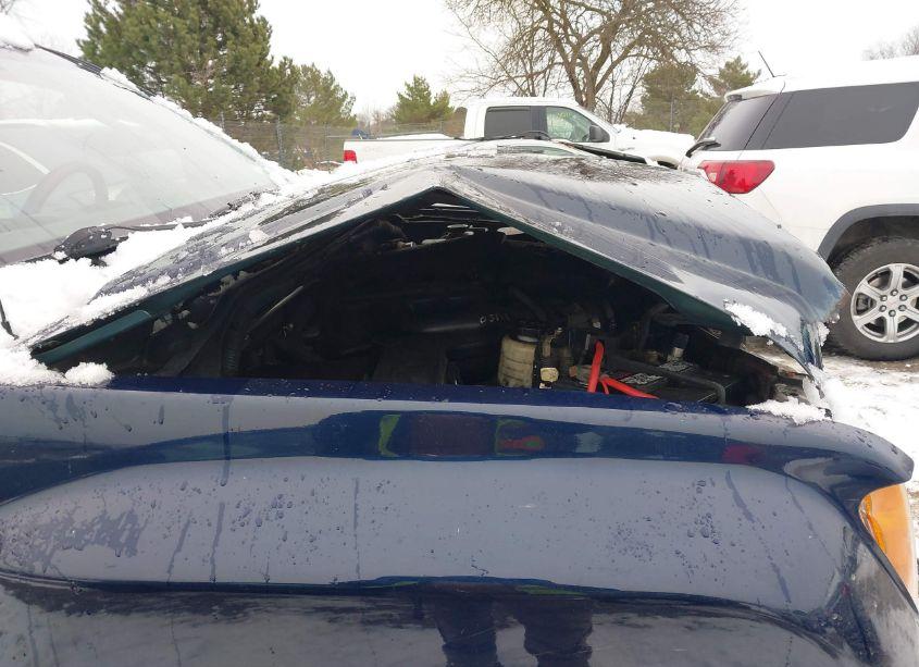 Photo 12 of 2007 Nissan Xterra S (VIN 5N1AN08W47C502688)