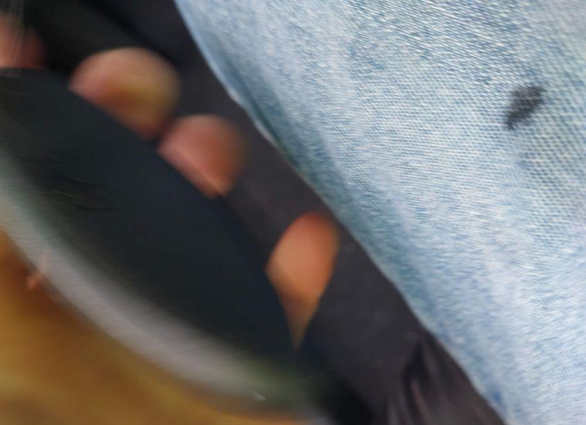 Photo 11 of 2018 Nissan Rogue SV (VIN 5N1AT2MT5JC750842)