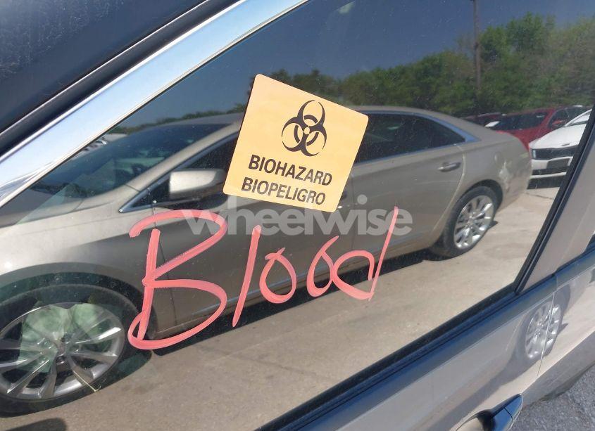 Photo 11 of 2023 Nissan Rogue SV INTELLIGENT AWD (VIN 5N1BT3BB3PC902484)