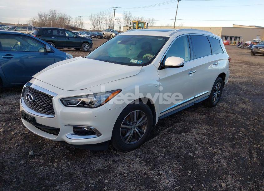 Photo 2 of 2019 Infiniti Qx60 LUXE/PURE (VIN 5N1DL0MM2KC512460)