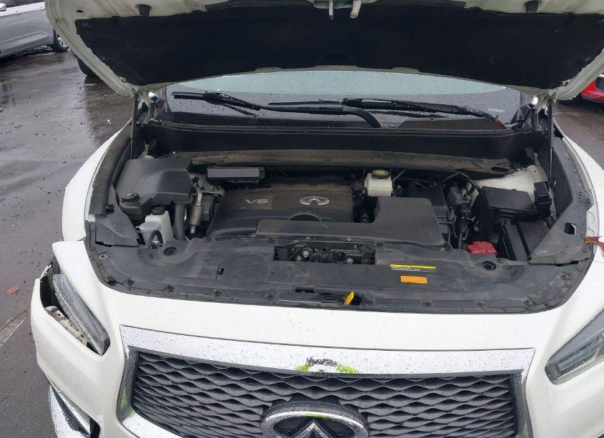 Photo 10 of 2019 Infiniti Qx60 LUXE (VIN 5N1DL0MM3KC550036)