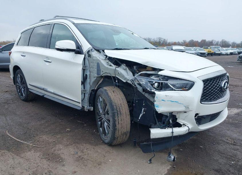 2019 Infiniti Qx60 LUXE (VIN 5N1DL0MMXKC512884) main photo