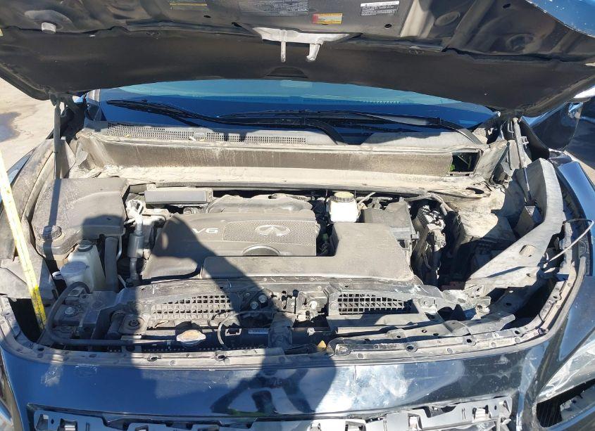 Photo 10 of 2019 Infiniti Qx60 PURE (VIN 5N1DL0MN3KC510922)