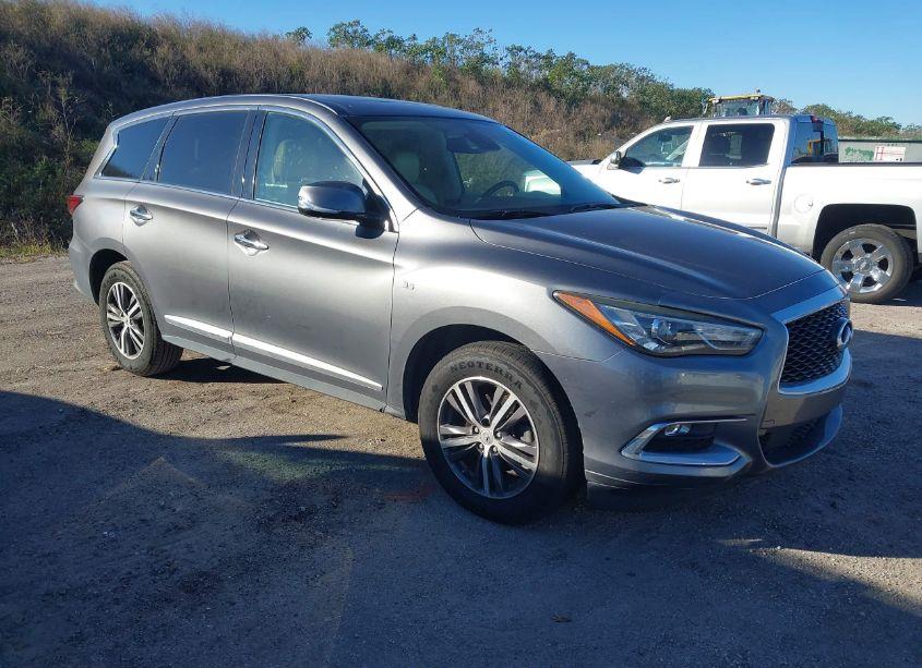 2019 Infiniti Qx60 PURE (VIN 5N1DL0MN5KC500795) main photo