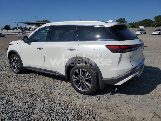 2024 INFINITI QX60 LUXE N/A (VIN 5N1DL1FR9RC331204) main photo