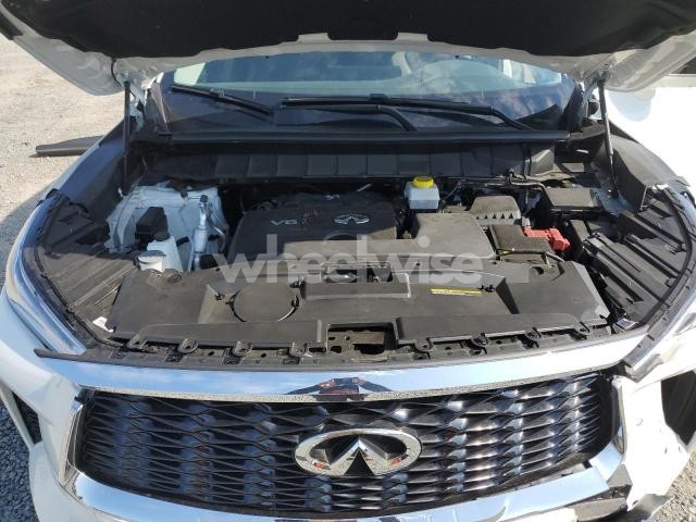 Photo 6 of 2024 INFINITI QX60 LUXE N/A (VIN 5N1DL1FR9RC331204)