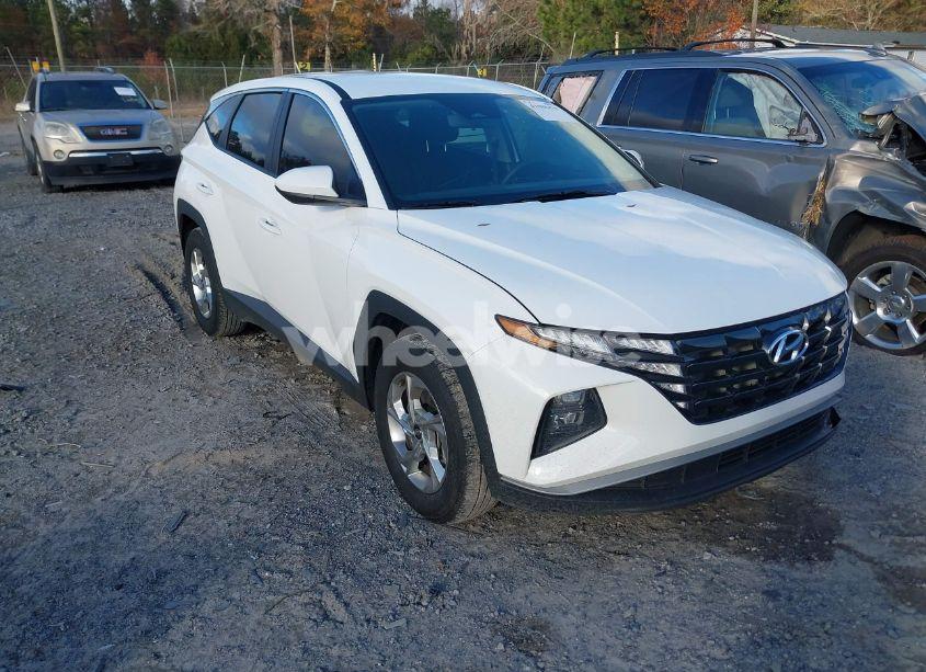 2024 Hyundai Tucson SE (VIN 5NMJA3DE2RH436368) main photo