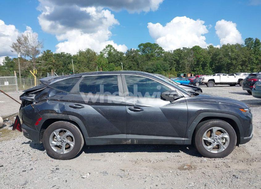 Photo 13 of 2024 Hyundai Tucson SE (VIN 5NMJA3DE5RH314037)