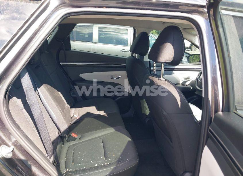 Photo 8 of 2024 Hyundai Tucson SE (VIN 5NMJA3DE5RH314037)