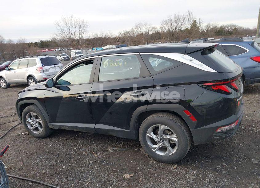 Photo 14 of 2024 Hyundai Tucson SE (VIN 5NMJA3DE5RH429401)