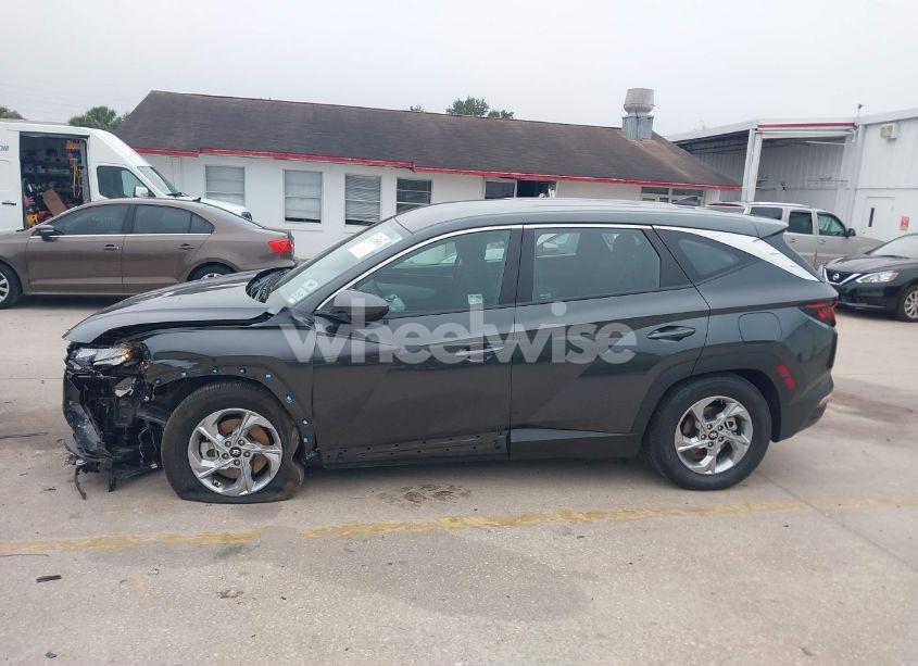 Photo 14 of 2024 Hyundai Tucson SE (VIN 5NMJA3DEXRH331433)