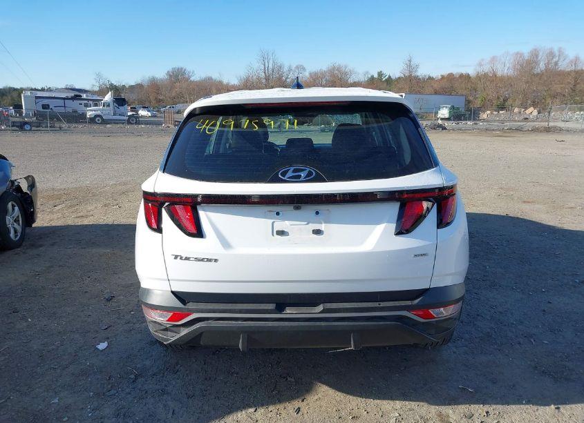 Photo 17 of 2023 Hyundai Tucson SE (VIN 5NMJACAE3PH284845)