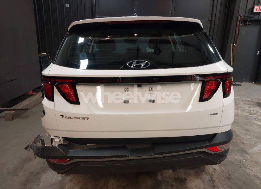 Photo 17 of 2024 Hyundai Tucson SE (VIN 5NMJACDE0RH418046)
