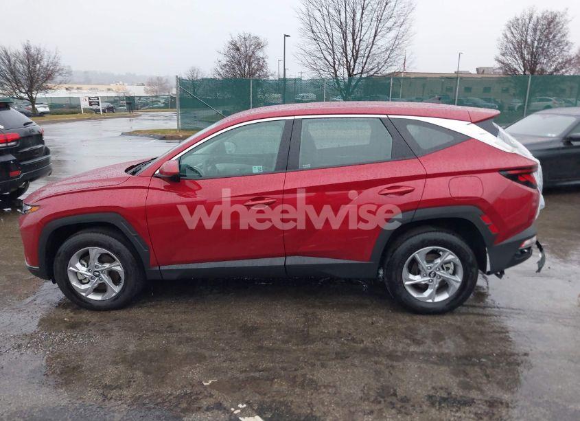 Photo 14 of 2024 Hyundai Tucson SE (VIN 5NMJACDE9RH437727)