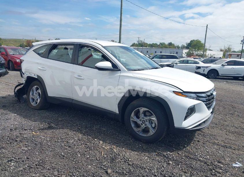 2024 Hyundai Tucson SE (VIN 5NMJACDEXRH396069) main photo