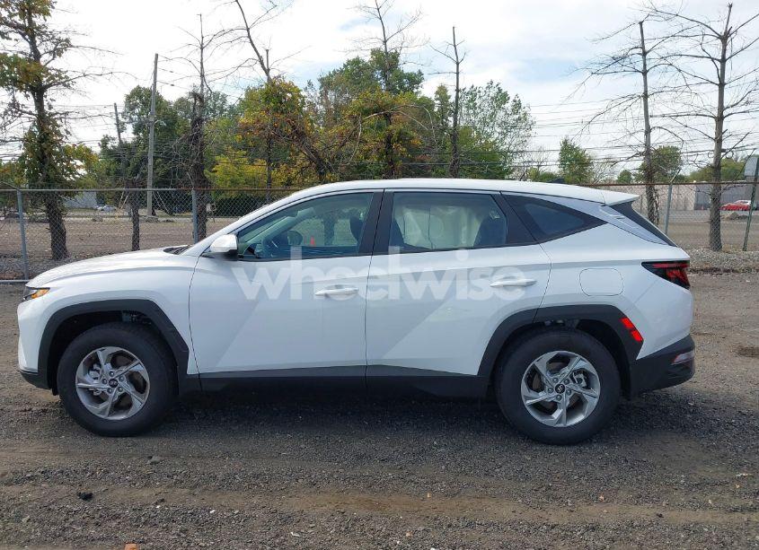 Photo 13 of 2024 Hyundai Tucson SE (VIN 5NMJACDEXRH396069)