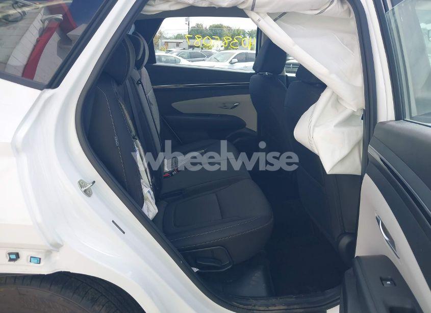 Photo 8 of 2024 Hyundai Tucson SE (VIN 5NMJACDEXRH396069)