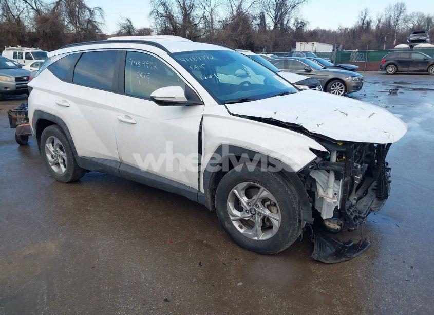 2023 Hyundai Tucson SEL (VIN 5NMJB3AE0PH239049) main photo