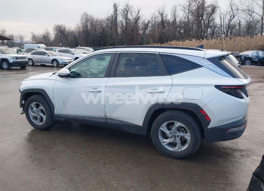 Photo 15 of 2023 Hyundai Tucson SEL (VIN 5NMJB3AE0PH239049)