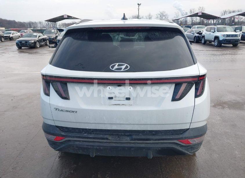 Photo 17 of 2023 Hyundai Tucson SEL (VIN 5NMJB3AE0PH239049)