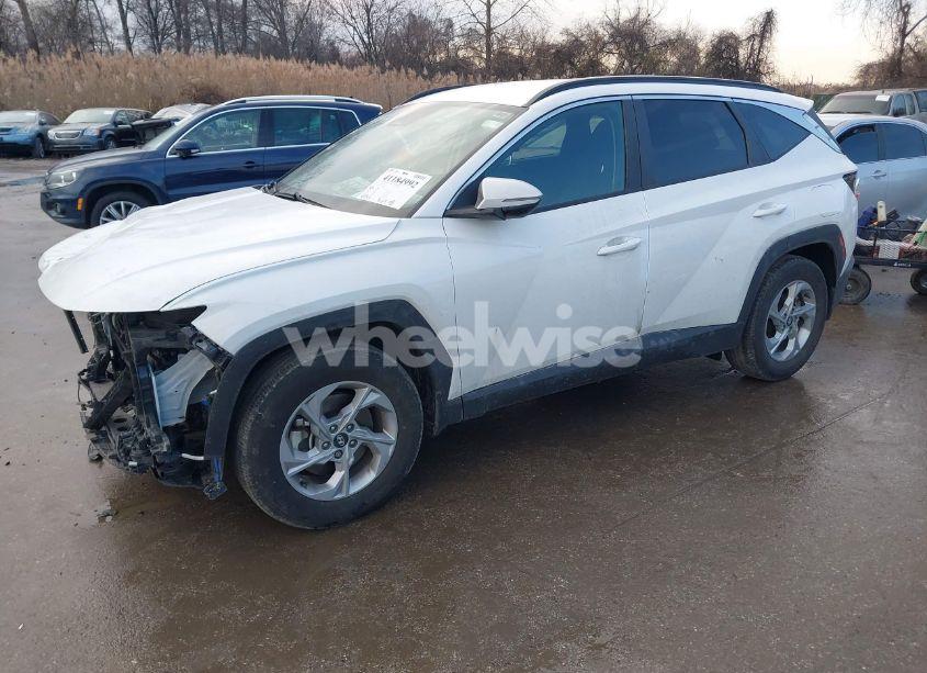 Photo 2 of 2023 Hyundai Tucson SEL (VIN 5NMJB3AE0PH239049)