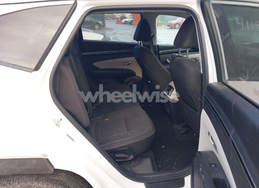 Photo 8 of 2023 Hyundai Tucson SEL (VIN 5NMJB3AE0PH239049)