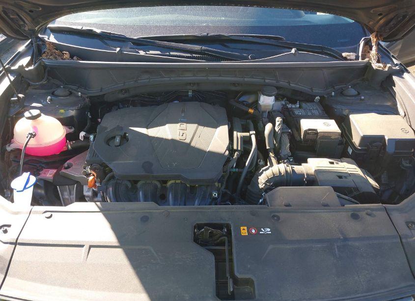 Photo 10 of 2022 Hyundai Tucson SEL (VIN 5NMJB3AE1NH049306)