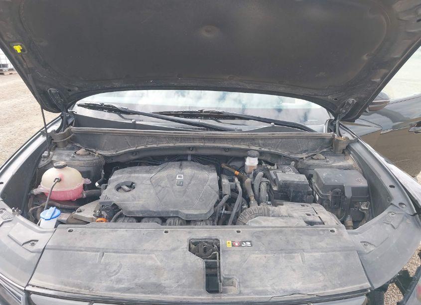 Photo 10 of 2022 Hyundai Tucson SEL (VIN 5NMJB3AE1NH081947)