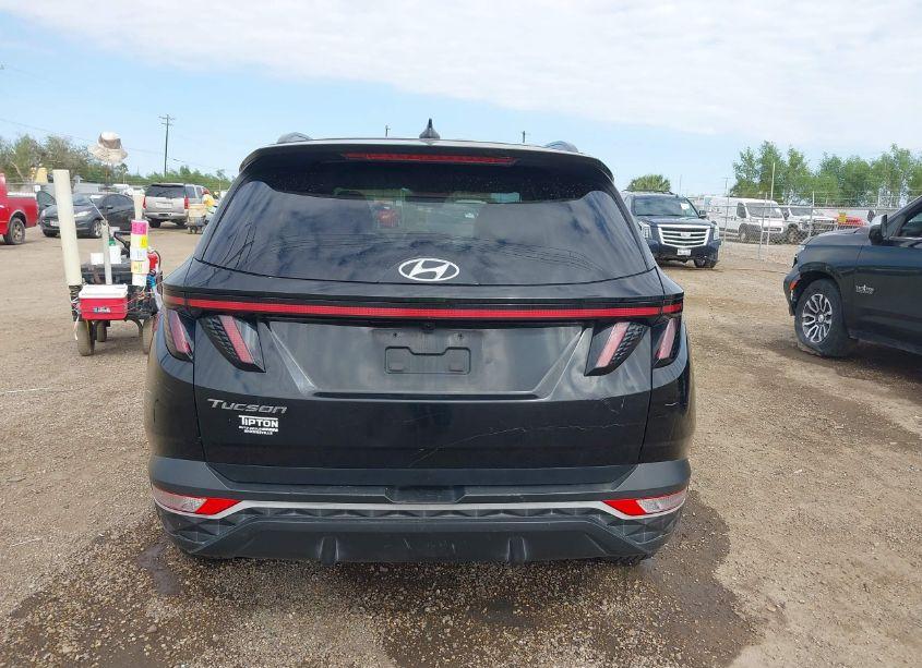 Photo 17 of 2022 Hyundai Tucson SEL (VIN 5NMJB3AE1NH081947)
