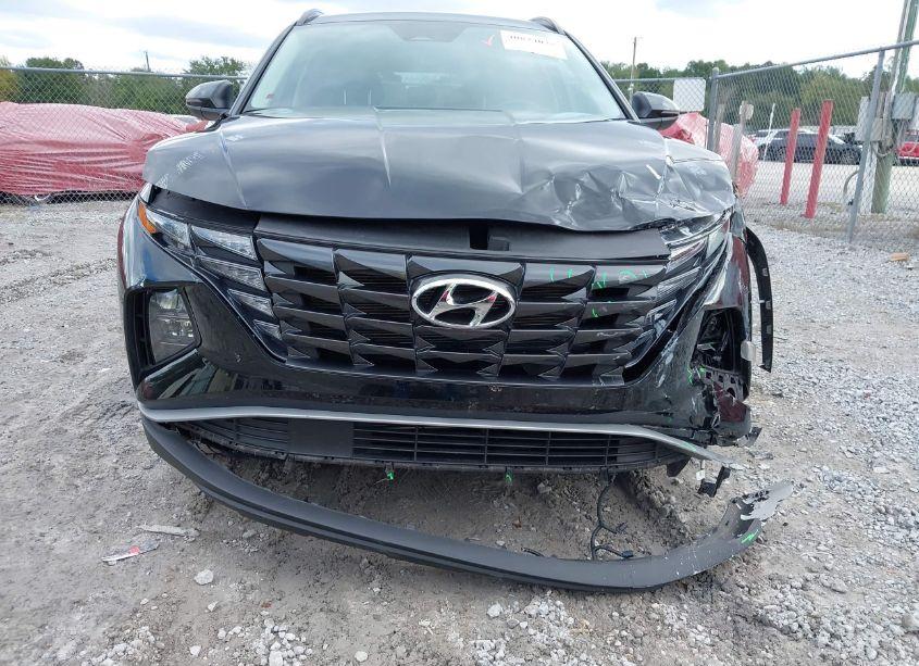 Photo 6 of 2023 Hyundai Tucson SEL (VIN 5NMJB3AE1PH241876)