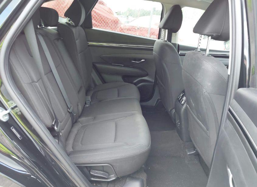 Photo 8 of 2023 Hyundai Tucson SEL (VIN 5NMJB3AE1PH241876)
