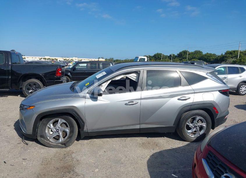 Photo 14 of 2023 Hyundai Tucson SEL (VIN 5NMJB3AE2PH239117)