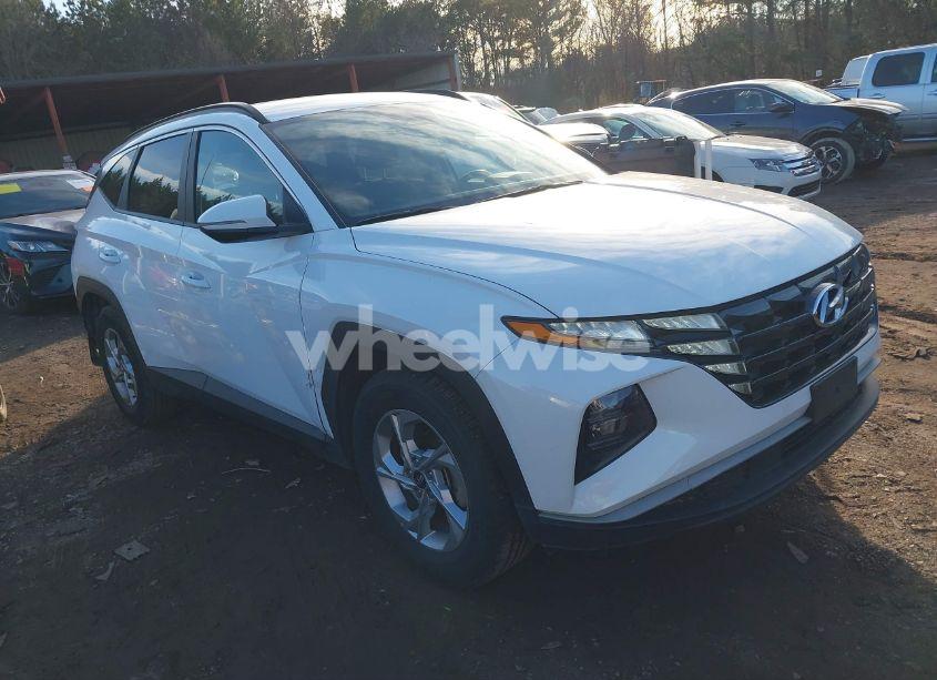 2023 Hyundai Tucson (VIN 5NMJB3AE4PH196805) main photo