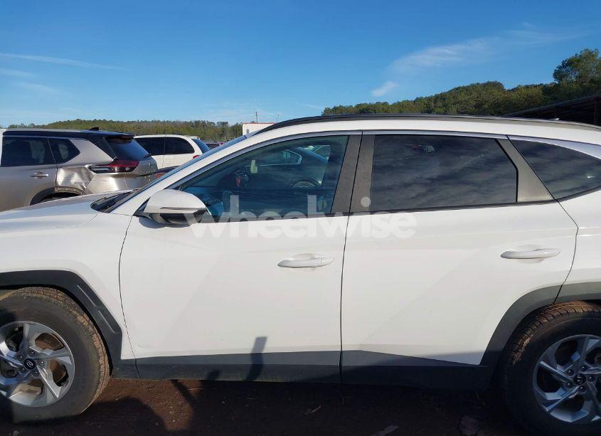 Photo 14 of 2023 Hyundai Tucson (VIN 5NMJB3AE4PH196805)