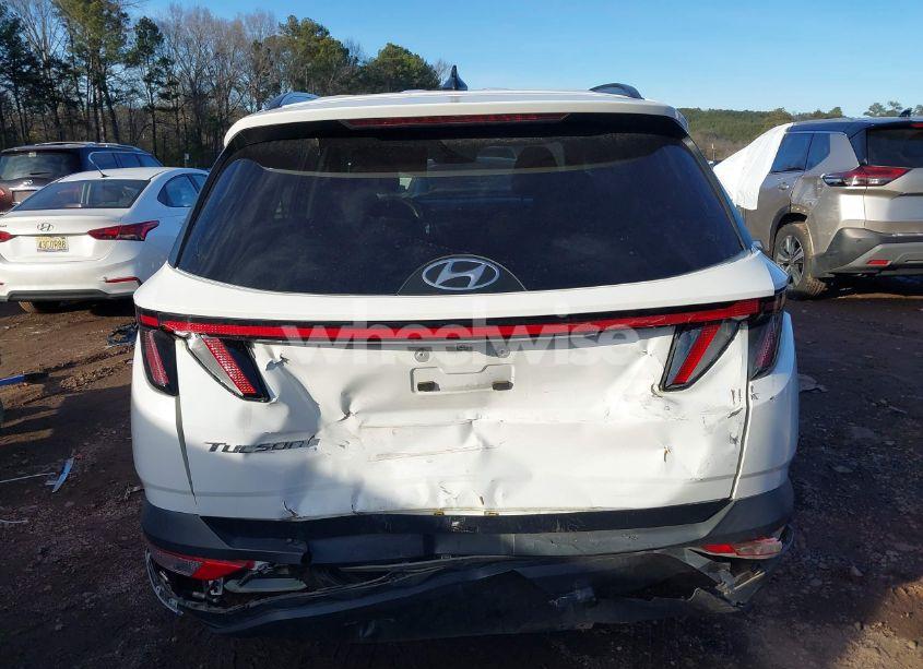 Photo 16 of 2023 Hyundai Tucson (VIN 5NMJB3AE4PH196805)