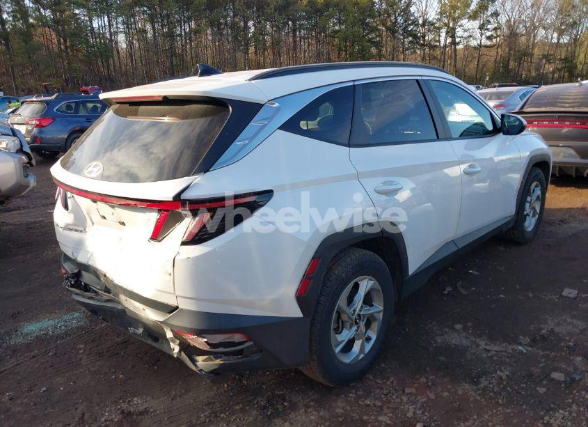 Photo 4 of 2023 Hyundai Tucson (VIN 5NMJB3AE4PH196805)
