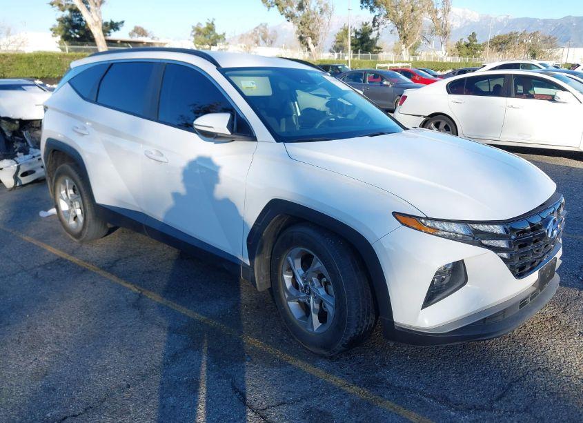2023 Hyundai Tucson SEL (VIN 5NMJB3AE5PH176157) main photo