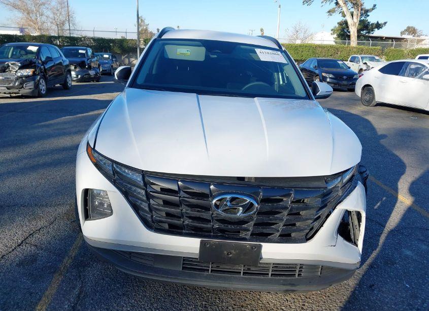 Photo 12 of 2023 Hyundai Tucson SEL (VIN 5NMJB3AE5PH176157)