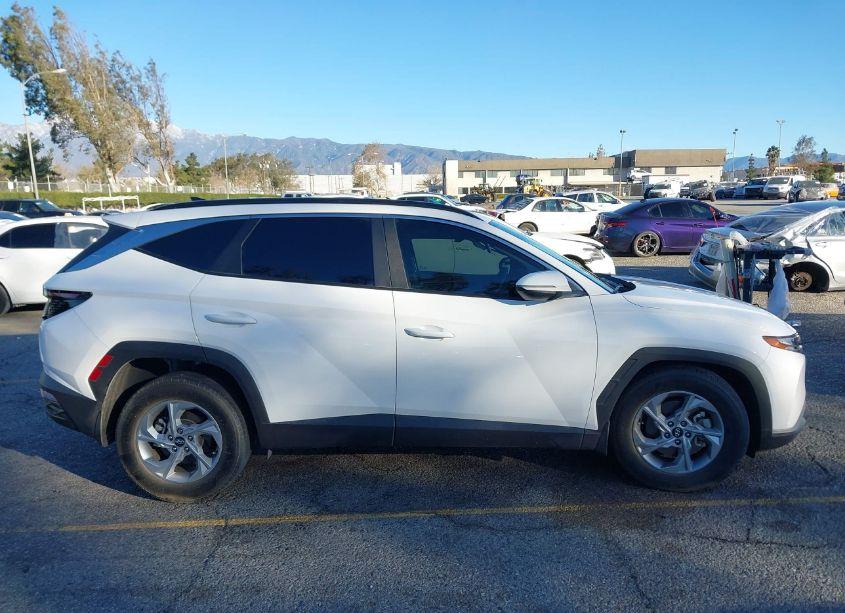 Photo 13 of 2023 Hyundai Tucson SEL (VIN 5NMJB3AE5PH176157)