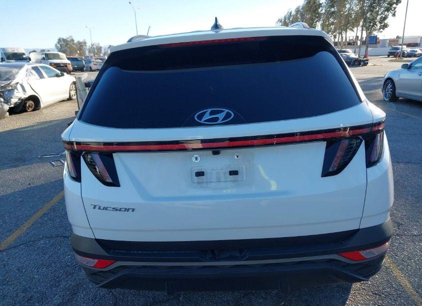 Photo 16 of 2023 Hyundai Tucson SEL (VIN 5NMJB3AE5PH176157)