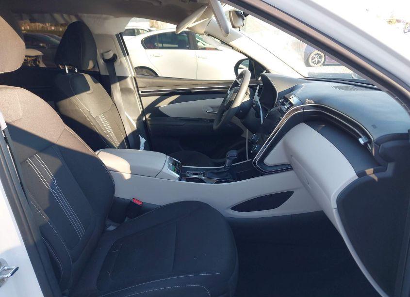 Photo 5 of 2023 Hyundai Tucson SEL (VIN 5NMJB3AE5PH176157)