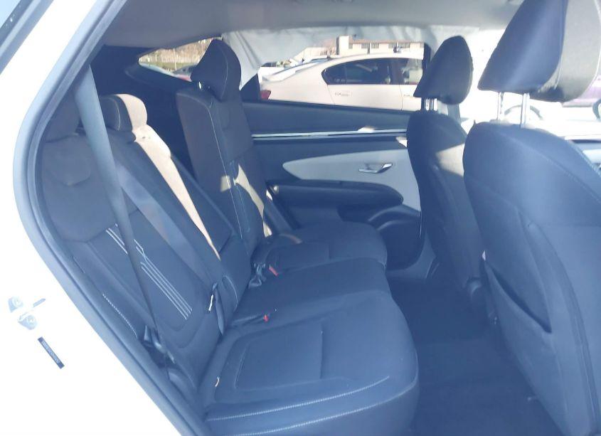 Photo 8 of 2023 Hyundai Tucson SEL (VIN 5NMJB3AE5PH176157)
