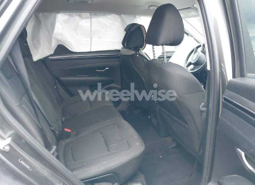 Photo 8 of 2023 Hyundai Tucson SEL (VIN 5NMJB3AE5PH271480)