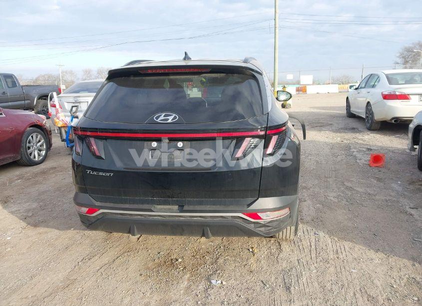 Photo 17 of 2023 Hyundai Tucson SEL (VIN 5NMJB3AE6PH220554)