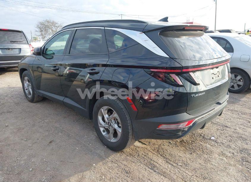 Photo 3 of 2023 Hyundai Tucson SEL (VIN 5NMJB3AE6PH220554)