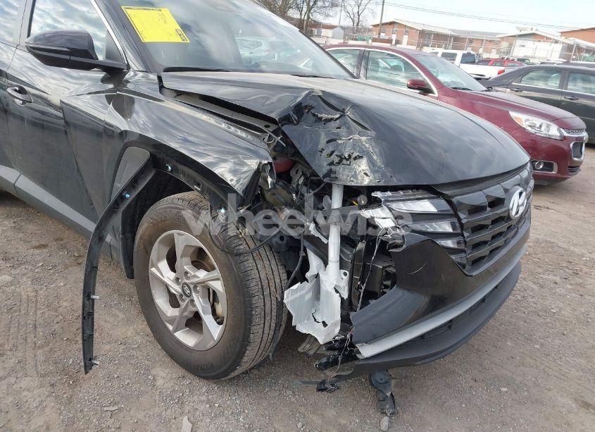 Photo 6 of 2023 Hyundai Tucson SEL (VIN 5NMJB3AE6PH220554)