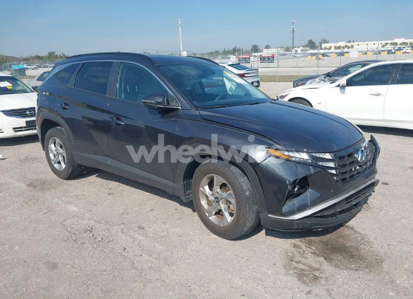 2023 Hyundai Tucson SEL (VIN 5NMJB3AE6PH243185) main photo
